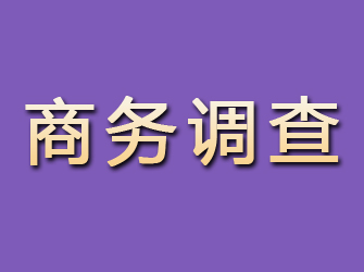 和平区商务调查